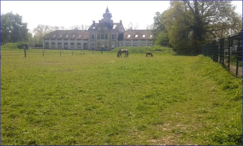 Promenade cheval près de Chevry-Cossigny