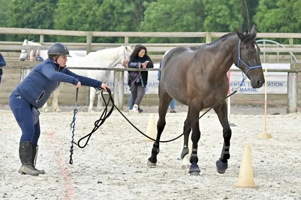 Équitation près de Chevry-Cossigny