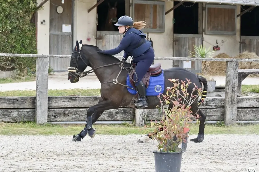 Coaching équitation près de Chevry-Cossigny