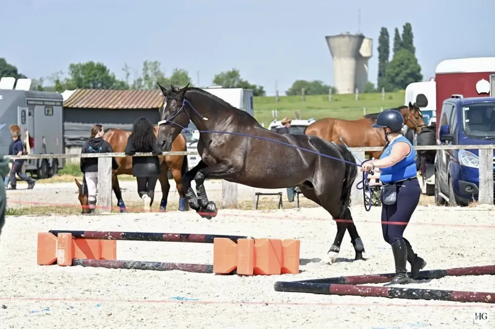 Centre équestre près de Chevry-Cossigny